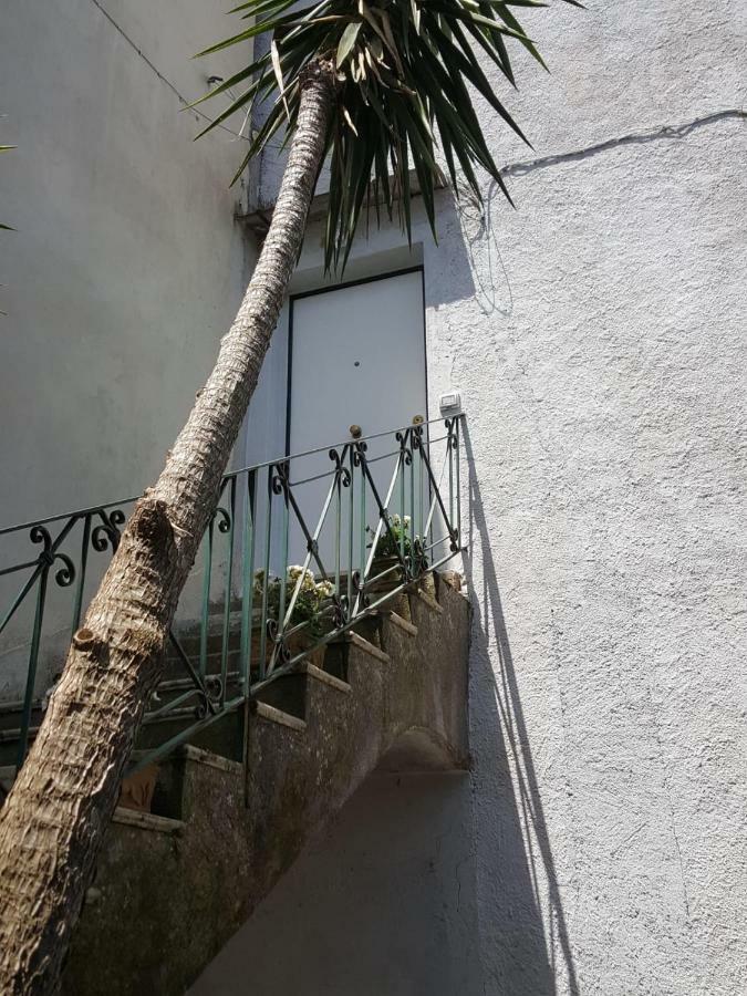 My Home ソレント エクステリア 写真