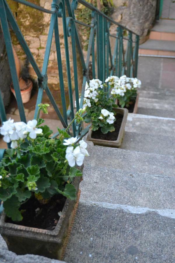 My Home ソレント エクステリア 写真