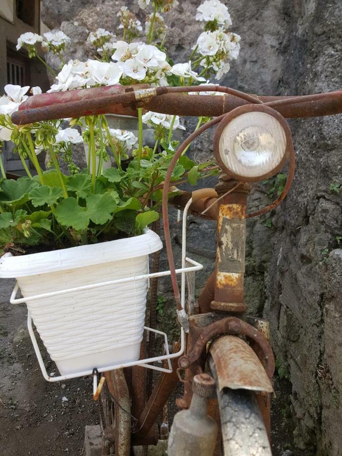 My Home ソレント エクステリア 写真